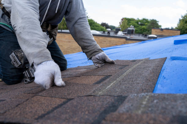Best Gutter Installation and Roofing  in Brooklyn Park, MD